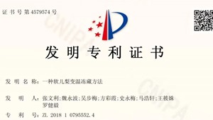 凍梨優良種質資源收集篩選與利用